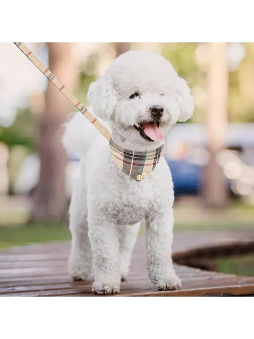Cute Small Dog Collar & Leash Set with Bowtie, Bells & Plaid Bandana - Soft